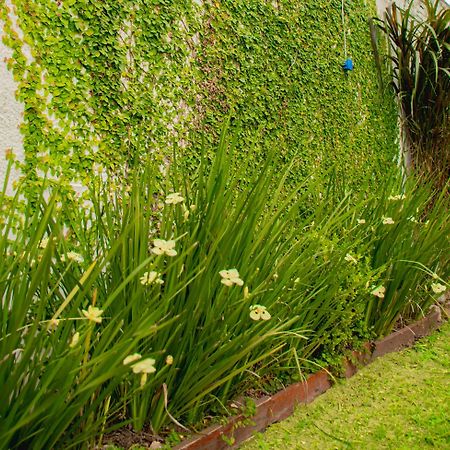 Vina Villa Elisa (Entre Rios) Exterior foto