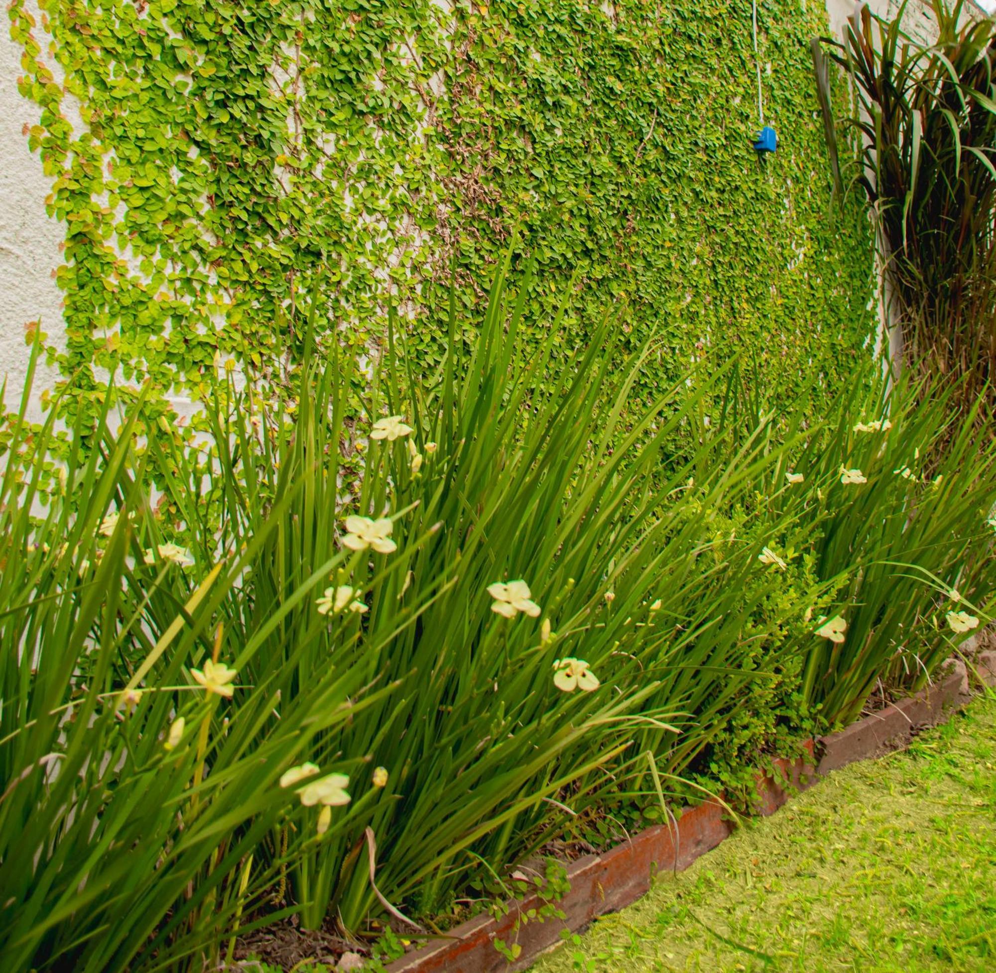 Vina Villa Elisa (Entre Rios) Exterior foto